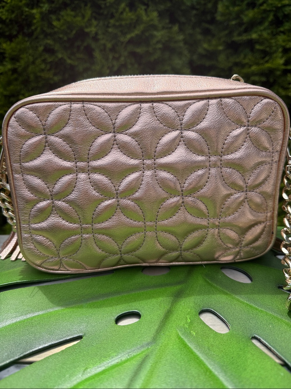 MK ๐Host pick ๐ Camera Crossbody Bag Rose Gold - Picture 12 of 12